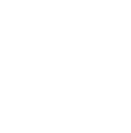 Diez INK