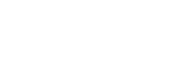 Solion