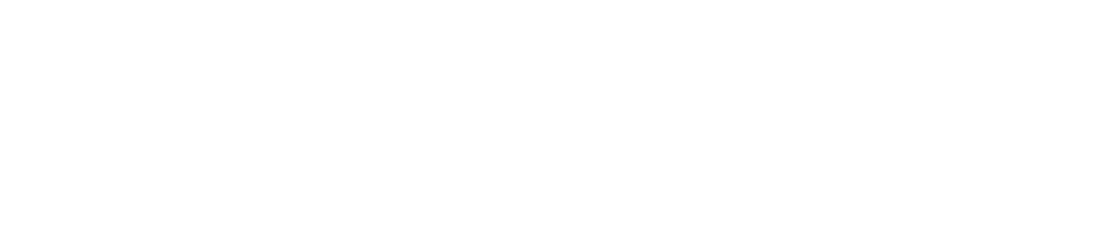 EBIS Business Techschool